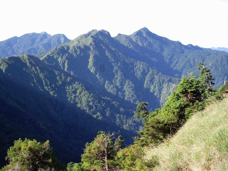 逃离粉红岛